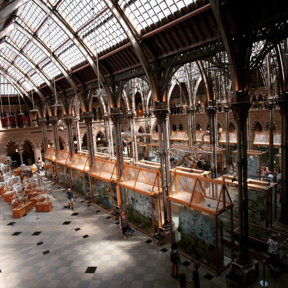 Oxford Uni Museum of Natural History