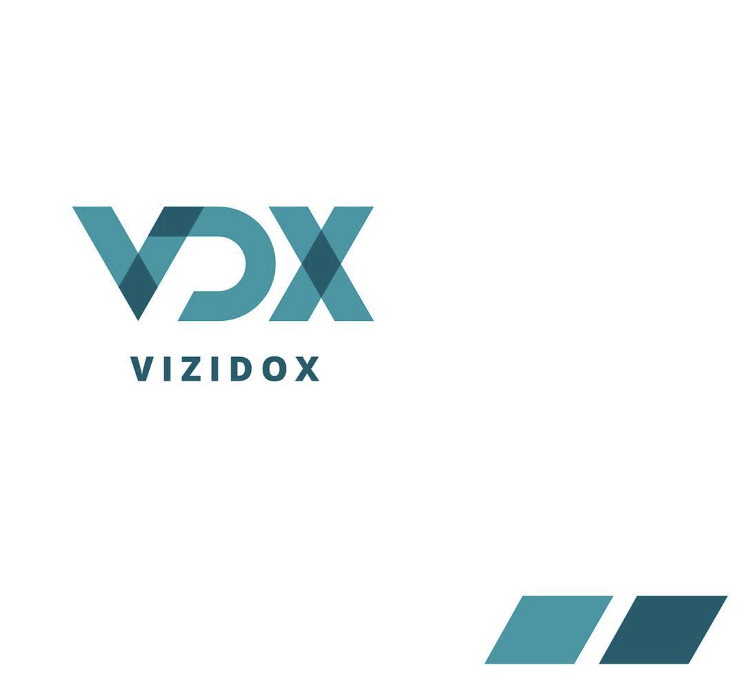 Vizidox Branding