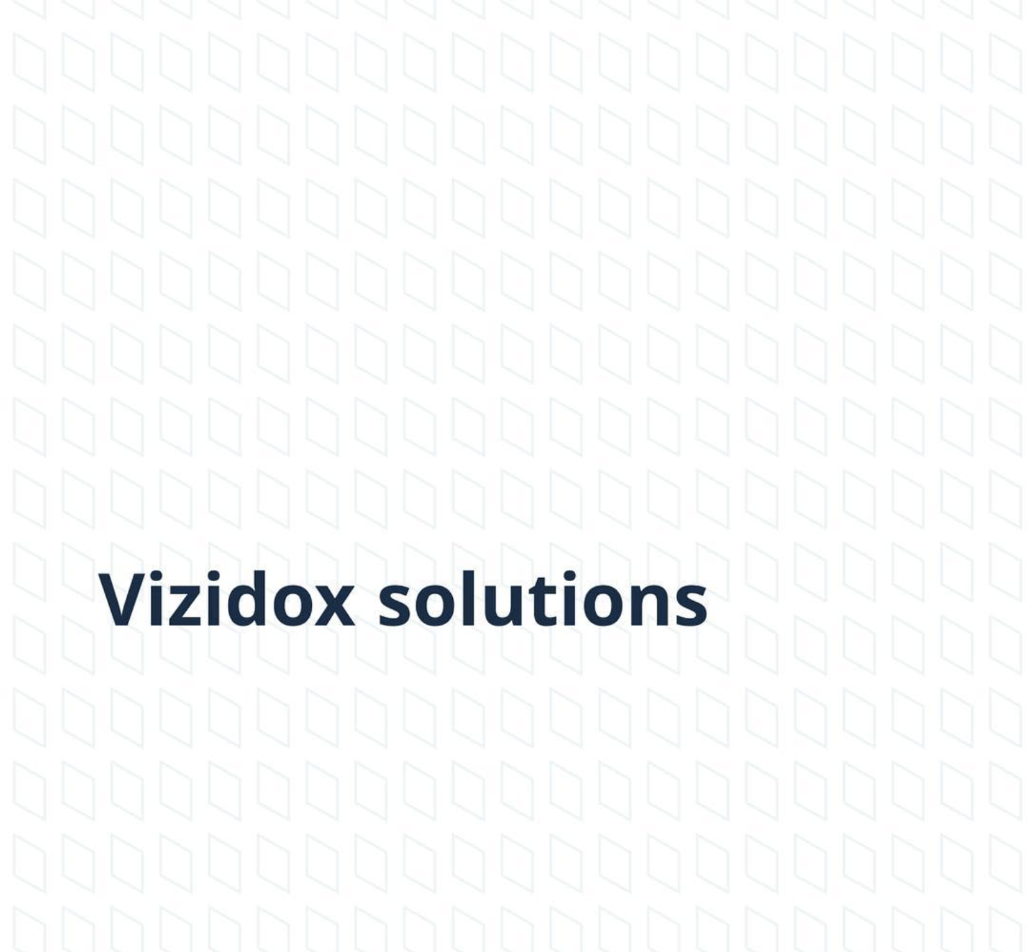 Vizidox Branding